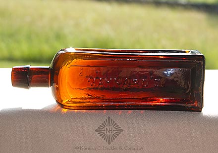 "Maynard's / Star Bitters" Bottle, Unlisted